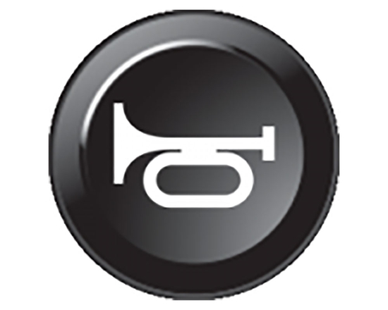 MaxxECU 2042 CAN keyboard insert (key) "Horn"