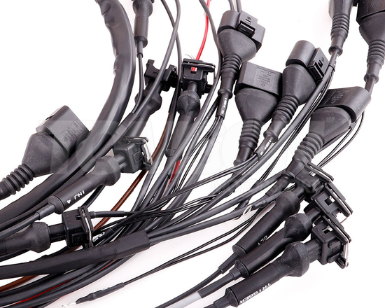 MaxxECU 1950 terminated engine harness for Volvo T5 engines with MaxxECU STREET, RACE, PRO ECU's