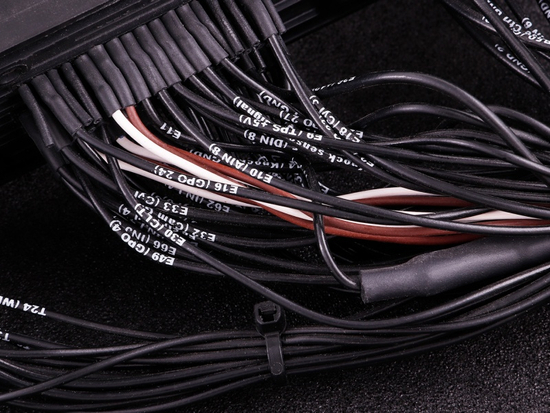 MaxxECU 1714 plugin adapter for Ford Mustang GT V8 with MaxxECU PRO ECU's