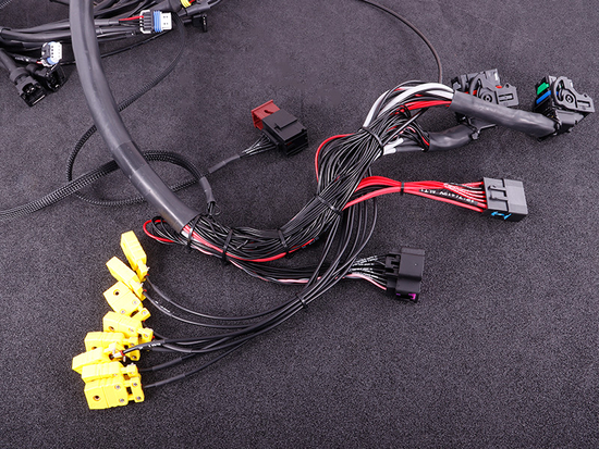 MaxxECU 2172 terminated engine harness for GM LS GEN3/4 with MaxxECU STREET, RACE, PRO ECU's