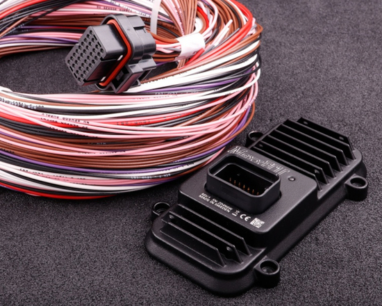 Moduł rozszerzający (Expansion Module) MaxxECU 2532 (z wiązką)