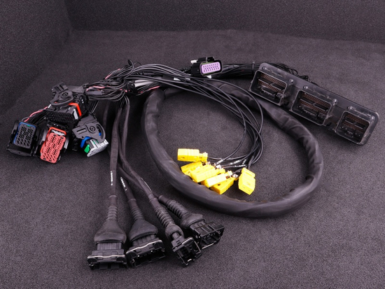MaxxECU 1714 plugin adapter for Ford Mustang GT V8 with MaxxECU PRO ECU's