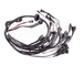 MaxxECU 1950 terminated engine harness for Volvo T5 engines with MaxxECU STREET, RACE, PRO ECU's