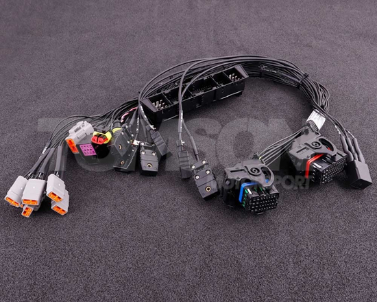 MaxxECU 1983 plugin adapter for BMW M54 engines with MaxxECU RACE ECU's