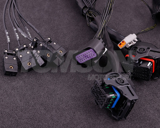 MaxxECU 1902 plugin adapter for Ford Focus RS/ST 2010 (ME 9.0) engines with MaxxECU RACE ECU's